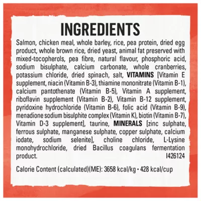 Beyond Simply Salmon & Whole Brown Rice Recipe, Dry Cat Food - Image 9