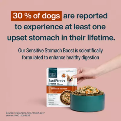 JustFoodForDogs Adult Fresh Dog Food Topper - Digestion Support, Chicken & Quinoa - Image 9
