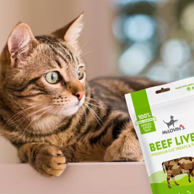 McLovin's Pet® Premium Cat Treats - Freeze-Dried Raw, Beef Liver - Image 6