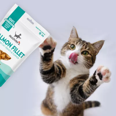 McLovin's Pet® Premium Cat Treats - Freeze-Dried Raw, Salmon Fillet - Image 6