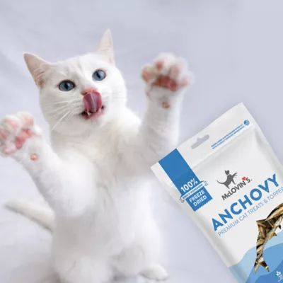 McLovin's Pet® Premium Cat Treats - Freeze-Dried Raw, Anchovy - Image 6