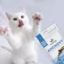 McLovin's Pet® Premium Cat Treats - Freeze-Dried Raw, Anchovy image thumbnail 6