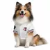 Pets First Minnesota Twins Jersey image thumbnail 4