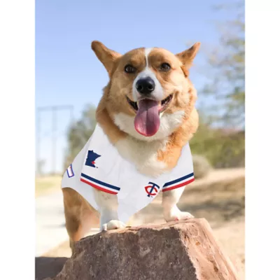 Pets First Minnesota Twins Jersey - Image 4
