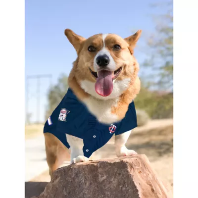Pets First Minnesota Twins Jersey - Image 3