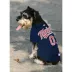 Pets First Minnesota Twins Jersey image thumbnail 4