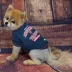 Minnesota Twins MLB Team Tee image thumbnail 3