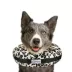 Comfurt Collar Pet Recovery Collar- Cheetah image thumbnail 2