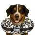 Comfurt Collar Dog & Cat Pet Recovery Collar, Stuffed Comfortable E-Collar, Cheetah, Multiple Sizes image thumbnail 2
