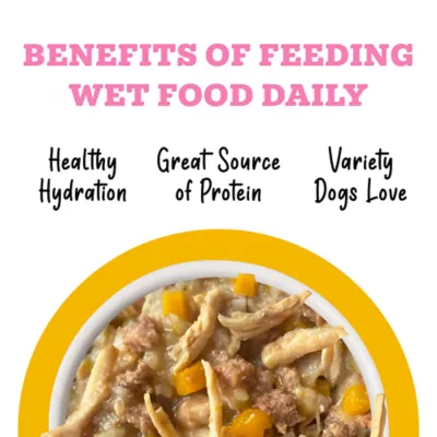 Weruva Awesome Belly Wet Dog Food - Chicken Breast White Rice & Pumpkin, Digestion Support, 14 OZ - Image 5
