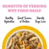 Weruva Awesome Belly Wet Dog Food - Chicken Breast White Rice & Pumpkin, Digestion Support, 14 OZ image thumbnail 5
