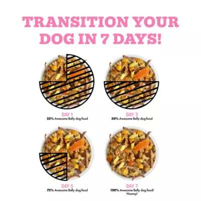 Weruva Awesome Belly Wet Dog Food - Chicken Breast White Rice & Pumpkin, Digestion Support, 14 OZ - Image 6