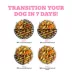 Weruva Awesome Belly Wet Dog Food - Chicken Breast White Rice & Pumpkin, Digestion Support, 14 OZ image thumbnail 6