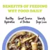 Weruva Awesome Adult Wet Dog Food for Joint Health 14oz image thumbnail 5