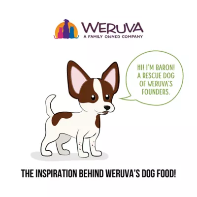 Weruva Awesome Adult Wet Dog Food for Joint Health 14oz - Image 8