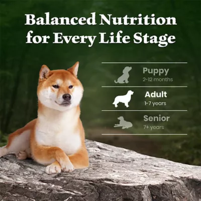 Blue Buffalo Wilderness Adult Lamb & Chicken Dry Dog Food - Image 7