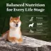 Blue Buffalo Wilderness Adult Lamb & Chicken Dry Dog Food image thumbnail 7