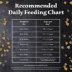 Blue Buffalo Wilderness Adult Lamb & Chicken Dry Dog Food image thumbnail 9