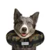Comfurt Collar Pet Recovery Collar- Camo image thumbnail 2