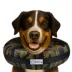 Comfurt Collar Dog & Cat Pet Recovery Collar, Stuffed Comfortable E-Collar, Camo, Multiple Sizes image thumbnail 2