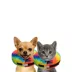 Comfurt Collar Dog & Cat Pet Recovery Collar, Stuffed Comfortable E-Collar, Tie Dye, Multiple Sizes image thumbnail 2