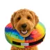 Comfurt Collar Dog & Cat Pet Recovery Collar, Stuffed Comfortable E-Collar, Tie Dye, Multiple Sizes image thumbnail 2