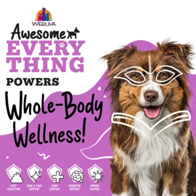 Weruva Awesome Adult Wet Dog Food for Multi-Care 14oz - Image 7