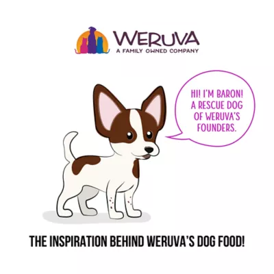 Weruva Awesome Adult Wet Dog Food for Multi-Care 14oz - Image 8