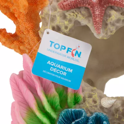Top Fin® Coral Swim Through Aquarium Ornament - Image 3