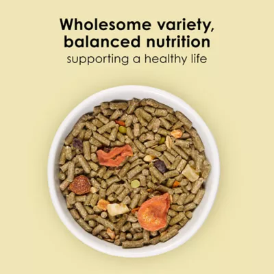 Kaytee Timothy Complete Farm Medley Guinea Pig Food - Image 2