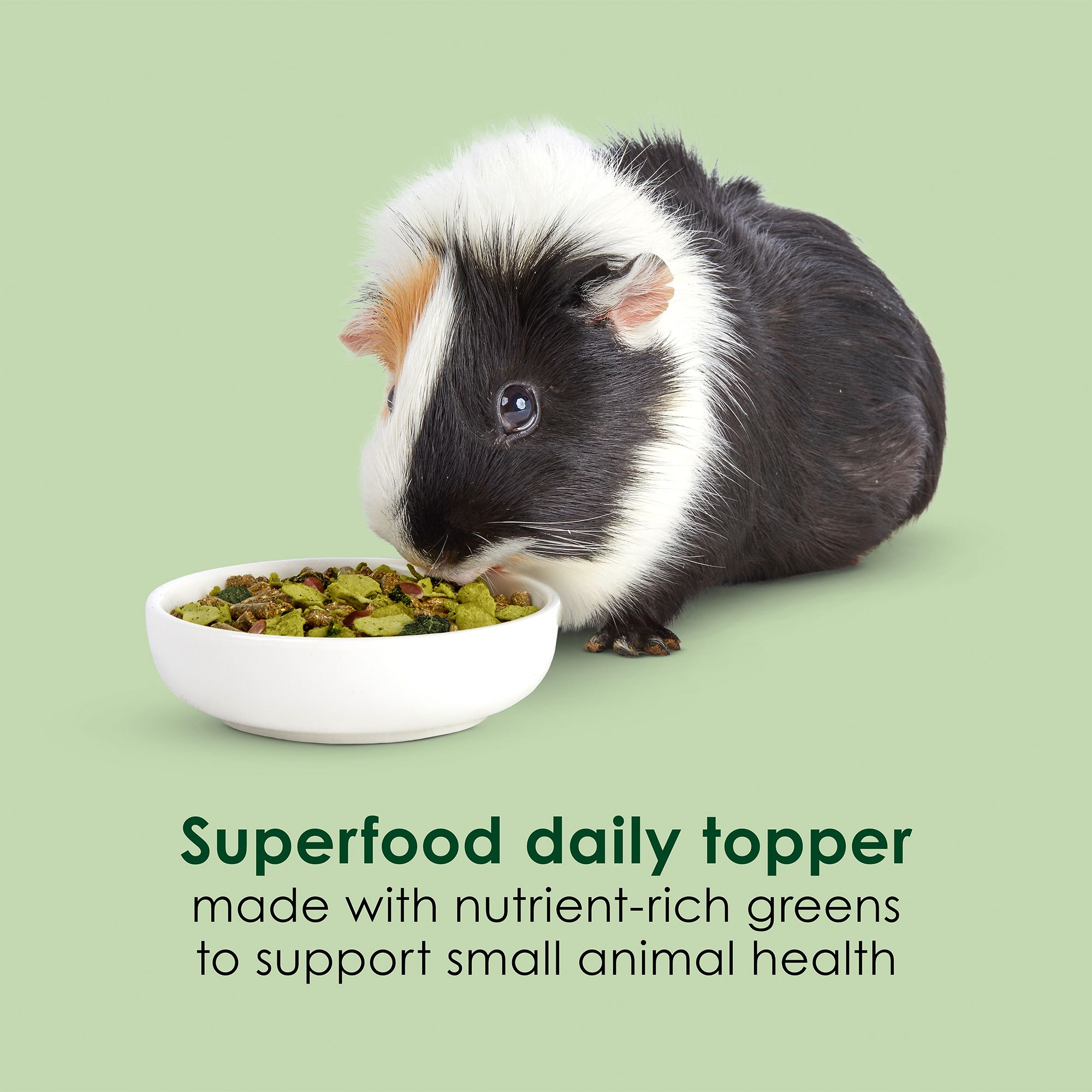 Kaytee Super C Greens Small Pet Food Topper - thumbnail 2