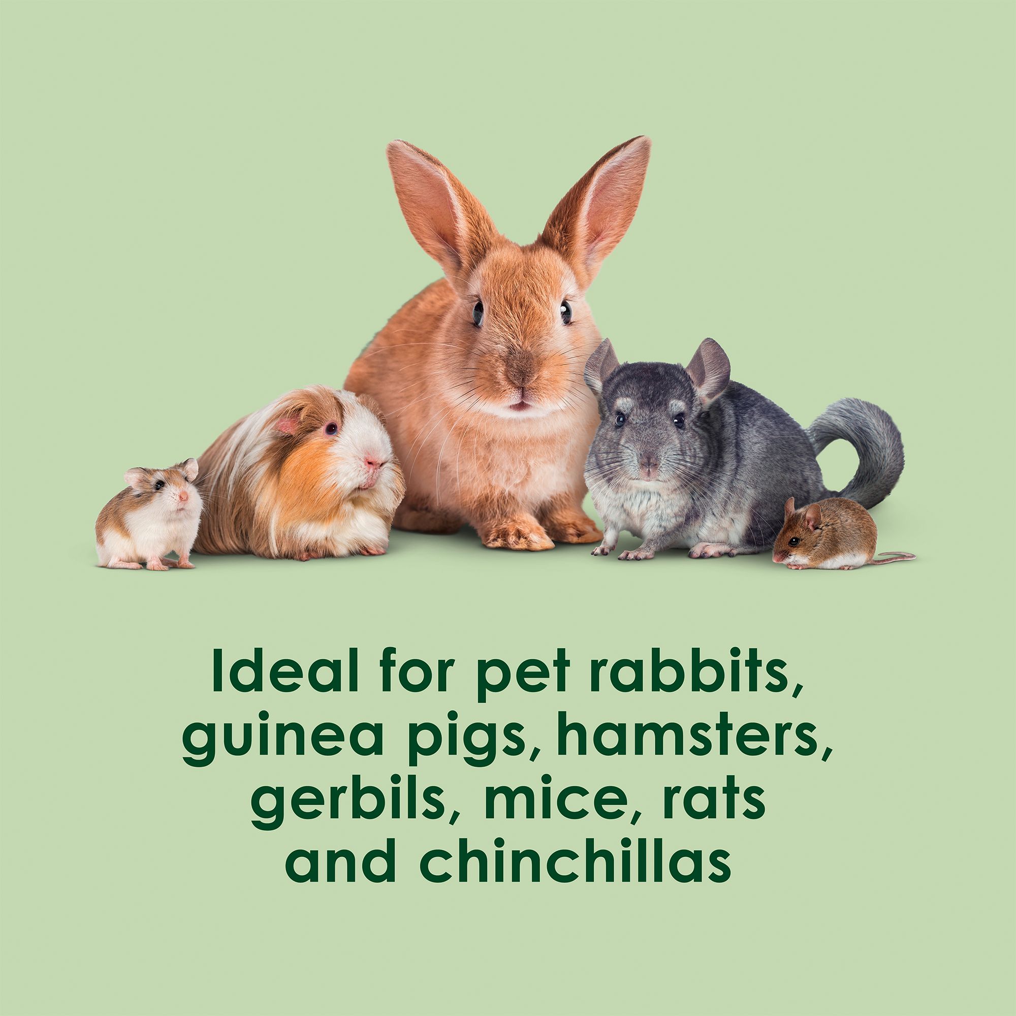 Kaytee Super C Greens Small Pet Food Topper - thumbnail 6