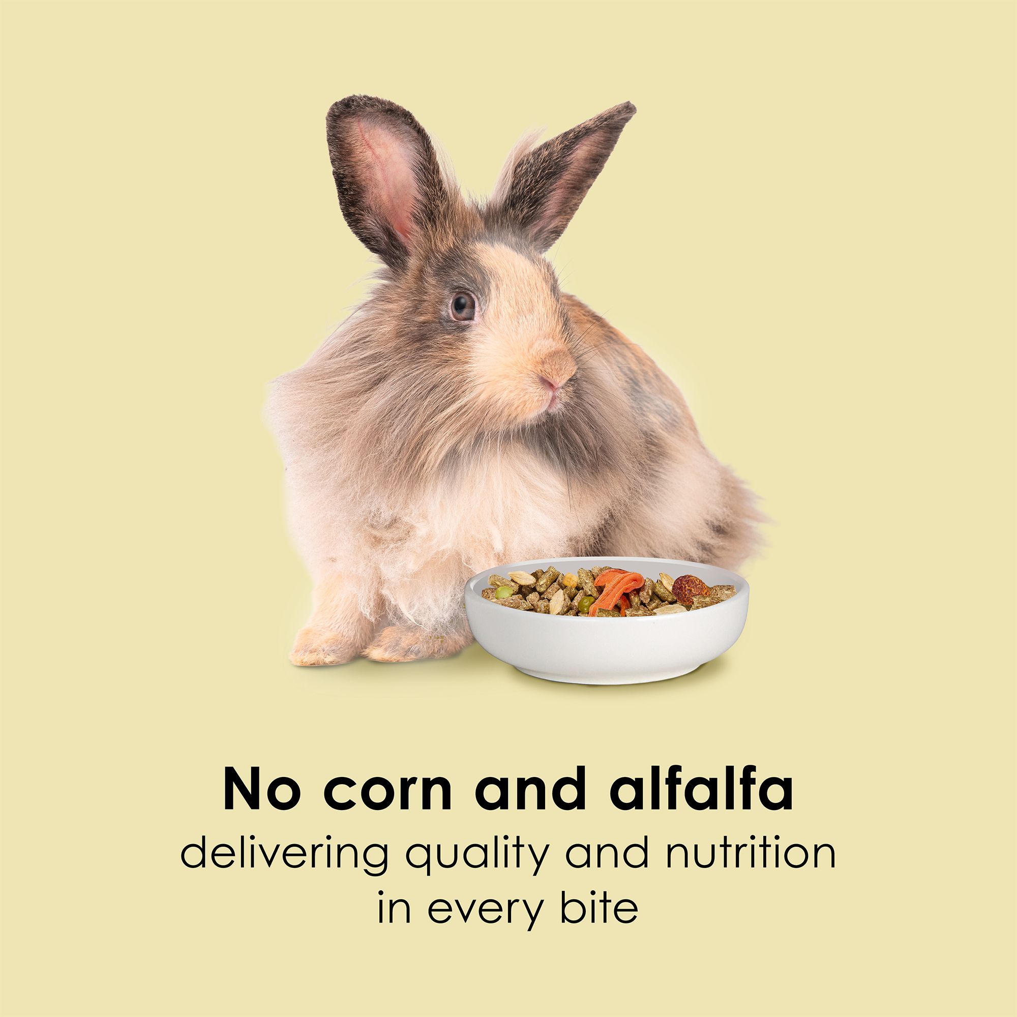 Kaytee Timothy Complete Farm Medley Rabbit Food - thumbnail 4