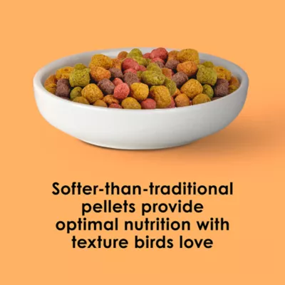 Kaytee NutriDelight Macaw & Cockatoo Food - Image 4