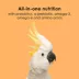Kaytee NutriDelight Macaw & Cockatoo Food image thumbnail 6