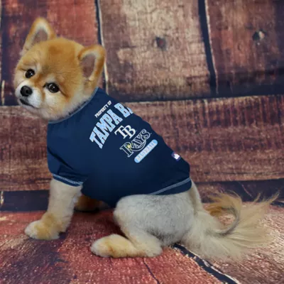 Pets First Tampa Bay Rays Tee - Image 2