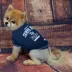 Pets First Tampa Bay Rays Tee image thumbnail 2
