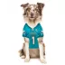 Pets First Tua Tagovailoa Dolphins Jersey image thumbnail 4