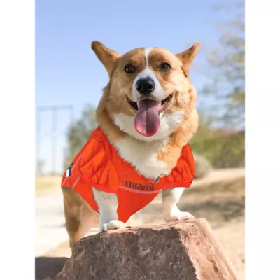 Pets First University of Miami Jersey - Image 3