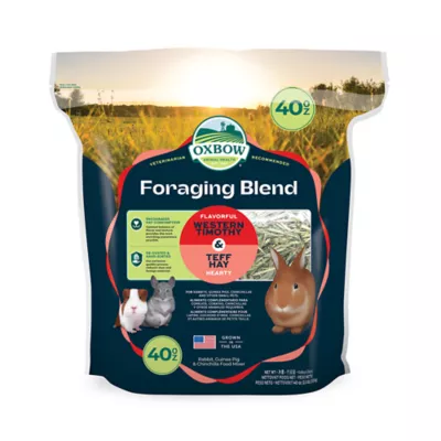 Oxbow Foraging Hay Blend Teff & Western Timothy Hay - Image 1