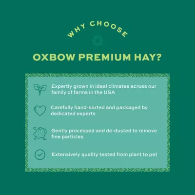 Oxbow Foraging Hay Blend Teff & Western Timothy Hay - Image 3