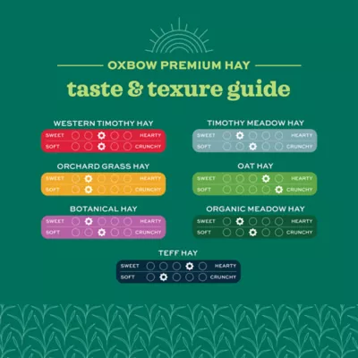 Oxbow Foraging Hay Blend Teff & Western Timothy Hay - Image 4