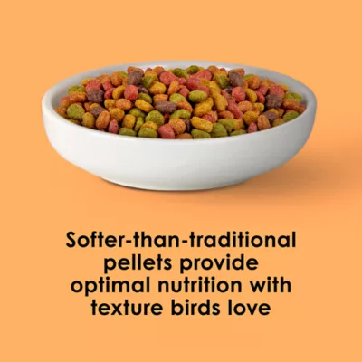 Kaytee NutriDelight Parrot & Conure Food - Image 4