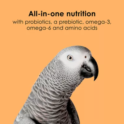 Kaytee NutriDelight Parrot & Conure Food - Image 6
