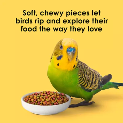 Kaytee NutriDelight Parakeets & Cockatiel Food - Image 2