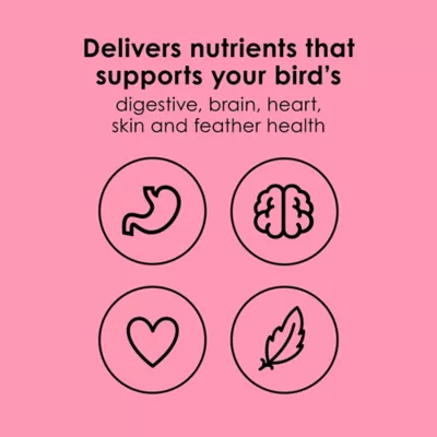 Kaytee NutriDelight Parakeets & Cockatiel Food - Image 3