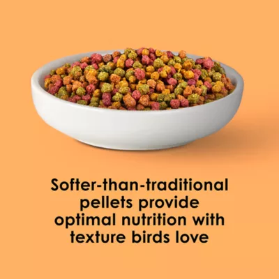 Kaytee NutriDelight Parakeets & Cockatiel Food - Image 4