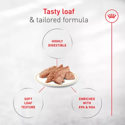 Royal Canin Breed Health Nutrition French Bulldog Adult Loaf in Sauce Canned Dog Food, 3 oz - Image 3