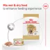Royal Canin Breed Health Nutrition French Bulldog Adult Loaf in Sauce Canned Dog Food, 3 oz image thumbnail 6