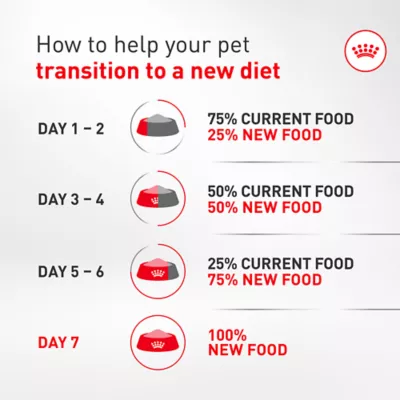 Royal Canin Breed Health Nutrition French Bulldog Adult Loaf in Sauce Canned Dog Food, 3 oz - Image 8